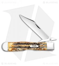 Case Cheetah Pocket Knife 4.375" 6.5 BoneStag (6.5111 1/2L SS) 65319