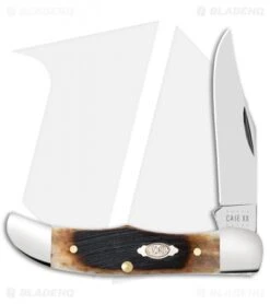 Case Sawcut Jig Pocket Hunter Knife Dark Molasses Bone (61165 SS)