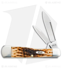 Case Large Gunstock Knife Peach Seed Jigged Amber Bone (3.75" Polish) 10728