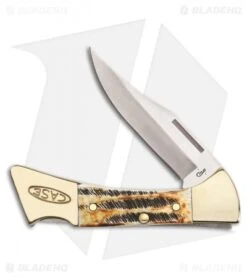 Case Cutlery Mako Lockback Traditional Knife 4.25" Bonestag (7158L SS) 06921