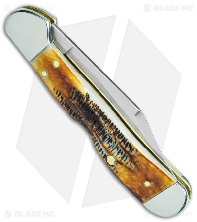 Case Mini CopperLock Knife 3.6" Case 6.5 BoneStag (6.51749L SS) 65327 - Image 3