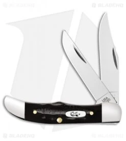 Case Pocket Hunter Knife 2.75" Buffalo Horn (BH2165 SS) 65227