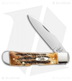 Case Tribal Lock Knife 4.125" 6.5 Bonestag Jigged Bone (TB6.512010L SS) 65312