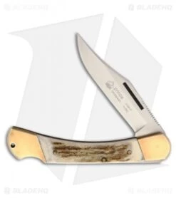 Puma Prince Pocket Knife 3.625" Stag Horn 210910