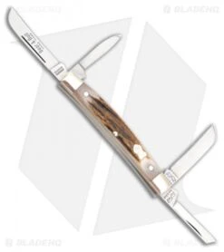 Buck Creek Little Bear & Bull Pocket Knife 3.625" Stag Horn